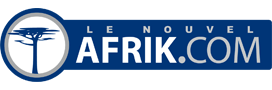 afrik.com article apprendre en ligne